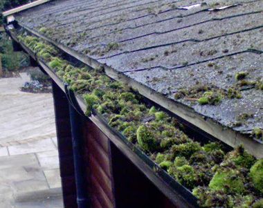 Gutter Cleaning Donamow Services